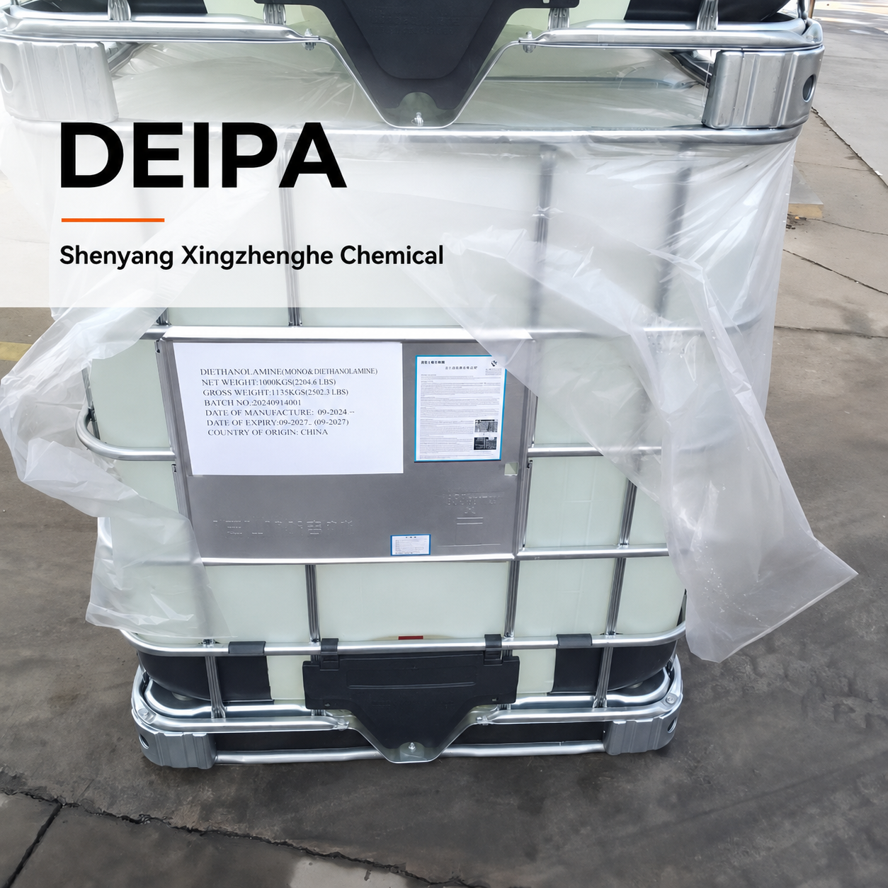 DEIPA (1).png