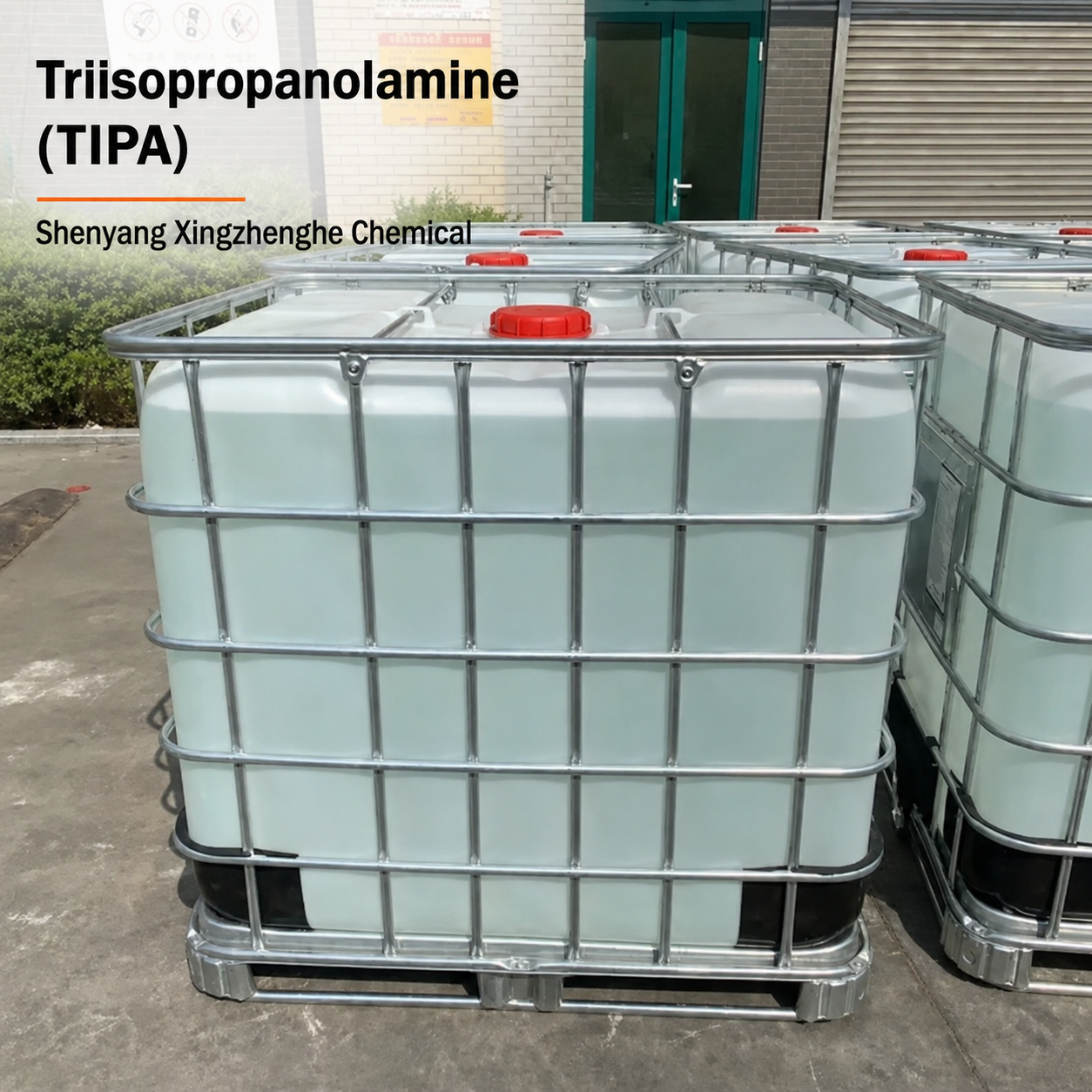 TIPA (4).png